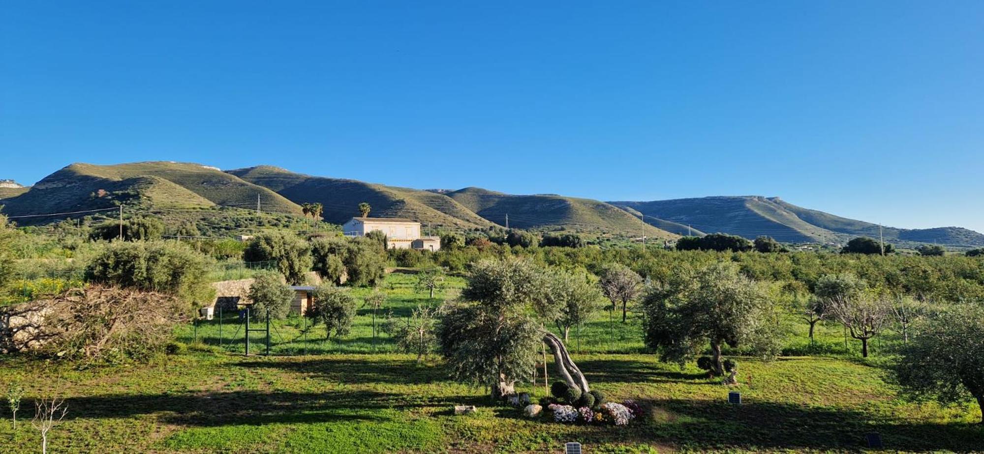 Villa I Secolari Di Giulia Avola Esterno foto